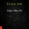 poe_chat-noir